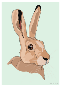 Hare